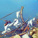 Καταδίκη της Ελλάδας για παραβίαση οδηγίας για την προστασία των υδάτων των ποταμών