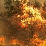 Υψηλός κίνδυνος πυρκαγιάς τη Δευτέρα