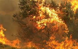 Υψηλός κίνδυνος πυρκαγιάς τη Δευτέρα