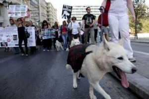 Δικαιώματα και υποχρεώσεις φιλόζωων (2ο μέρος)