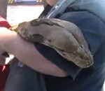 Το μεγαλύτερο φίδι, σε αιχμαλωσία στον κόσμο!