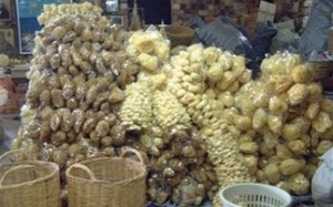 Τέλος οι σφουγγαράδες