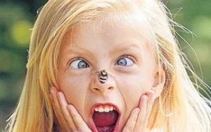 Aντιμετωπίστε τα καλοκαιρινά τσιμπήματα