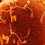 Έχει σαν «χόμπι» τη δωρεά ωαρίων