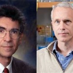 Απονεμήθηκε το Νόμπελ Χημείας