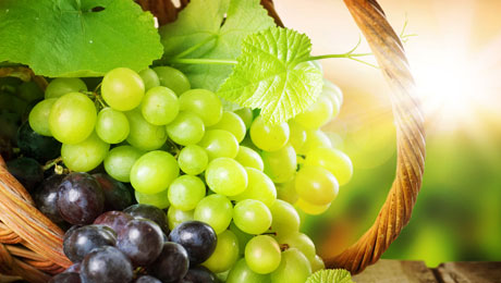 Η θρεπτική αξία του σταφυλιού