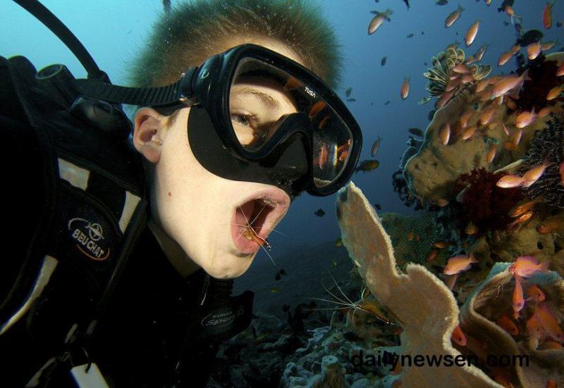 Μία περίεργη μέθοδος καθαρισμού των δοντιών
