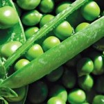 Ο αρακάς προστατεύει το στομάχι