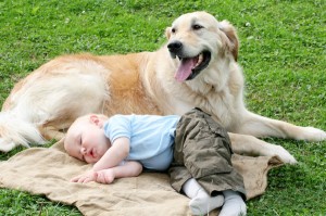 Ο σκύλος είναι ο καλύτερος φίλος του παιδιού