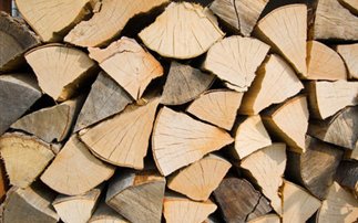 Πάνω από 10 δισ. δολάρια τα κέρδη των λαθροϋλοτόμων