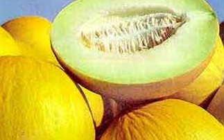 Τα θρεπτικά συστατικά του πεπονιού