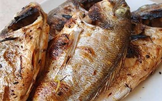 Τα ψάρια μειώνουν τον κίνδυνο για καρκίνο του εντέρου