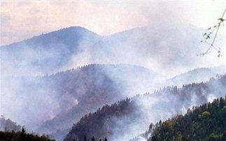 Υπό έλεγχο η φωτιά στο όρος Τάρα στη Σερβία